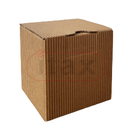 20230725_083635-removebg-preview1.png