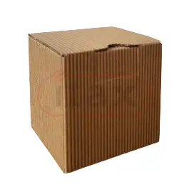 20230725_083635-removebg-preview1.png