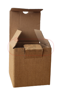 20230725_083617-removebg-preview1.png