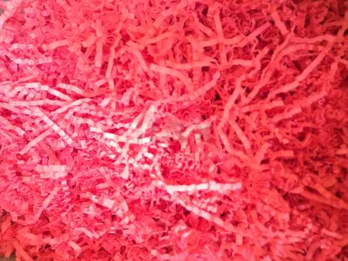 20260519_121910.jpg
