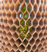 20250612_094126-removebg-preview.jpg