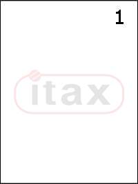 Etykiety samoprzylepne  210x297 mm a'100 (1x1)
